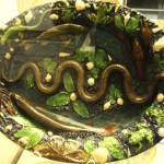 Palissy 16th - British Museum UK